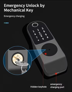 Glomarket Tuya Waterproof Digital TTLock Remote Unlock Double-sided Fingerprint Smart Lock Electronic Lock