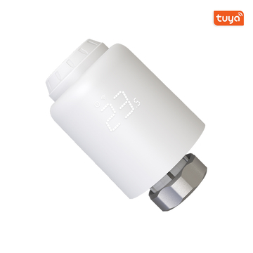 Tuya smart valve