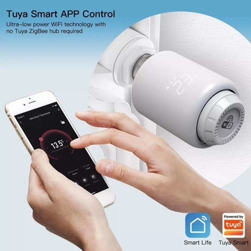 Tuya smart valve